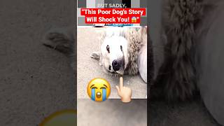 quotThis Poor Dogs Story Will Shock You 😱quot [upl. by Gale]