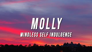 Mindless Self Indulgence  Molly TikTok Remix Lyrics [upl. by Rosalinde]