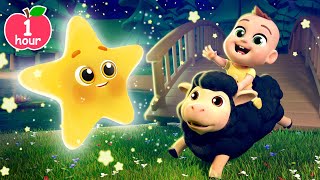 Twinkle Star Farm More Lalafun Nursery Rhymes amp Kids Songs [upl. by Ladiv937]