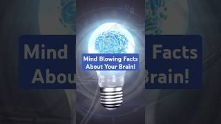 Mind Blowing Facts the Human Brain funfacts facts factshorts fyp [upl. by Nicolai]