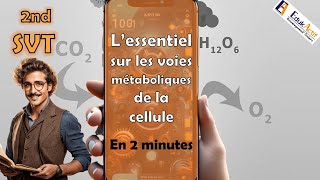 Lessentiel en 2 minutes sur les voies métaboliques de la cellule  SECONDE  SVT  svt seconde [upl. by Pernick876]