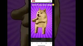 Doge meme😭 [upl. by Aivatahs37]