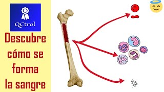 La HEMATOPOYESIS explicada en 5 minutos [upl. by Notsag]