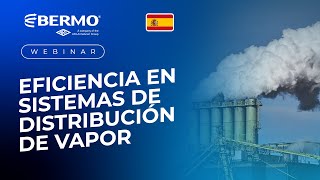 Eficiencia en Sistemas de distribución de Vapor  Aula Bermo  ARI Armaturen [upl. by Asena324]