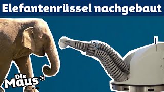 Bionic Rüssel  DieMaus  WDR [upl. by Novled]