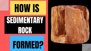 How Are Sedimentary Rocks Formed Weathering Erosion Deposition Compaction Cementation [upl. by Adnamor681]