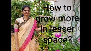 Vertical gardening ideas తక్కువ స్థలంలో ఎక్కువ మొక్కలు పెంచడం ఎలాspace managementhanging pots [upl. by Kauffmann695]