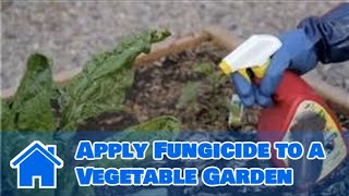 Gardening Basics  How to Apply Fungicide to a Vegetable Garden [upl. by Nedlog193]