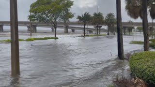 Tampa streets underwater as Hurricane Idalia makes landfall in Florida [upl. by Plank415]