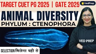 Animal Diversity  Phylum Ctenophore  CUET PG 2025  GATE 2025  VedPrep Biology Academy [upl. by Novaj]