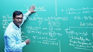 JEE Chemistry  Salt Analysis  Theory amp ProblemSolving  In English  Misostudy [upl. by Esylla]