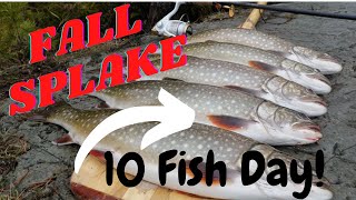 Spectacular SPLAKE Fishing  NEW LOCATION  Shore Fishing Algoma [upl. by Piggy]