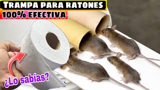 Como Eliminar RATAS y RATONES de Manera Eficaz [upl. by Chladek]