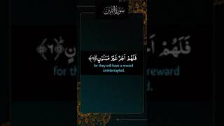 Surah AtTin The Fig  Recitation of Quran  Talawat  Quran [upl. by Korten]