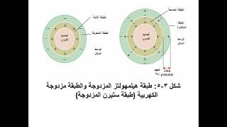 خصائص الغرويات الجزء الثاني  properties of colloids part 2 [upl. by Anoval526]