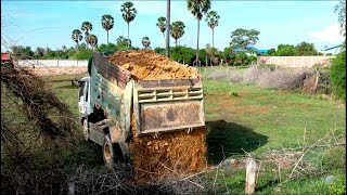 Perfectly Strong KOMATSU Dozer D31P Open Forest Cutting  Pushing Soil amp Truck Dumping Fillup Land [upl. by Christopher]