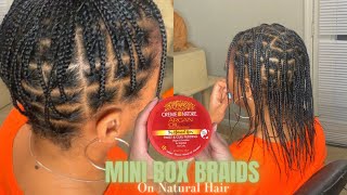 MINI BRAIDS NO WEAVE  PROTECTIVE LOW MANIPULATION Hairstyle  NATURALLY THIN TRANSITIONING HAIR [upl. by Grannie]