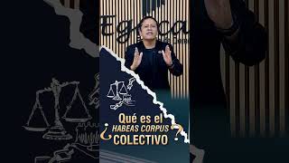 ¿Qué es el Habeas Corpus Colectivo  HabeasCorpus Egacal Short 4 [upl. by Sosthena]