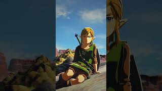 Zelda Breath Of The Wild Shorts 24 [upl. by Hteboj]