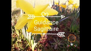 Guidance Sagittaire MaiJuin 2019 [upl. by Yasdnyl]