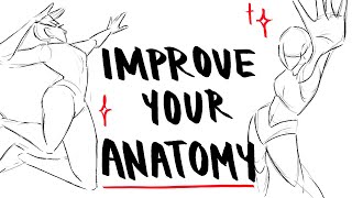 ANATOMY EXERCISES FOR BEGINNERS  How I practice drawing anatomy [upl. by Akirehc478]