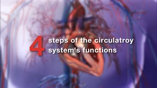 Visible Body  Learn Pulmonary amp Systemic Circulation [upl. by Esyak]