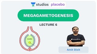 L6 Megagametogenesis  Complete Botany for 12th PremedicalNEETAIIMS  Amit Dixit [upl. by Tersina]