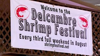 How the 72nd Delcambre Shrimp Festival is helping a dying industry [upl. by Narod277]