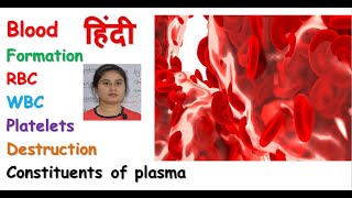 Blood anatomy amp physiology in hindi  RBC  WBC  Platelets  composition of blood [upl. by Erastus588]