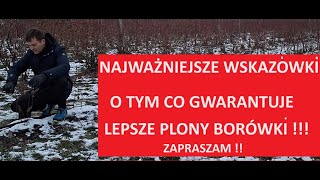 Cięcie Borówki Najważniejsze Informacje co zrobić żeby pięknie rosły krzewy po posadzeniu [upl. by Lapo707]