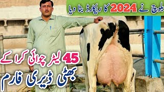 Bhatti Dairy Farm  Pakistan big cows Farm  Friesian cows  Jersey cows  Jani Best [upl. by Kylie71]