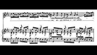 Bäche von gesalznen zähren BWV 21  JS Bach Score Animation [upl. by Nali]