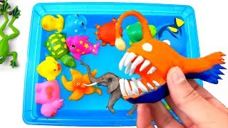 Learn Zoo Animal Names Educational Toys Video For Children [upl. by Nerrual830]