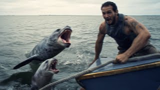 Most SHOCKING Leopard Seal Attacks of The Year [upl. by Nowyt]