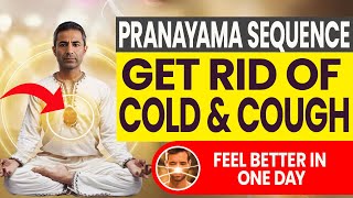 Top 4 Breathing Exercises to Reduce Cough and Cold in One Day  Pranayama Sequence [upl. by Aihsit142]