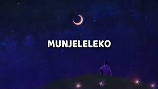 Tizzy159  MunJeleleko Official Lyric Videoby INFINITE LYRICS [upl. by Airtemak]