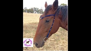 How to make a custom minimalist bridle with paracord and beads [upl. by Ashraf]