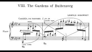 Godowsky — The Gardens of Buitenzorg from Java Suite Godowsy 1925 wscore [upl. by Ahsinak]