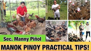 Manok Pinoy Practical Tips by Sec Emmanuel quotMannyquot PiÑol [upl. by Creight]