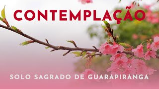 Contemplação  Solo Sagrado de Guarapiranga  LXVI [upl. by Mchail798]