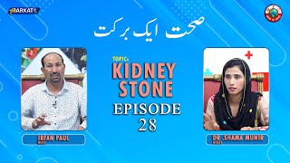 Sehat aik Barkat with Ph Tech Irfan Paul  Episode 28  Kidney Stone  Barkat Tv Official [upl. by Asiluj410]