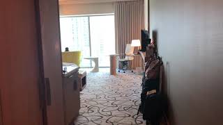 Luxury Room  Sofitel Downtown Dubai [upl. by Saixela]