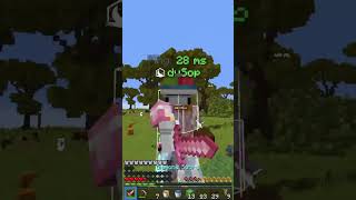 The dumbest trap ever minecraft hoplitetrapping [upl. by Habas851]