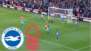 Brighton vs Nottingham Forest 22 Highlights  Premier League 20242025 [upl. by Farrel]