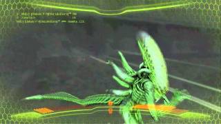 Aliens Vs Predator How create Steam Dedicated Server Tutorial [upl. by Bakki]