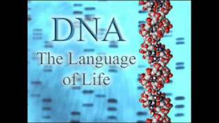 Dr Stephen Meyer  Genetics Proves Design and Disproves Evolution PT 2 of 2 [upl. by Treve]