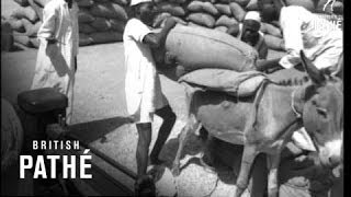 Nigeria  Its People And Produce 1951 [upl. by Jephthah693]