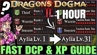 Dragons Dogma 2  Get ANY Vocation to Rank 9 FAST amp EARLY  Best DCP amp XP Farm Leveling Guide [upl. by Niknar]