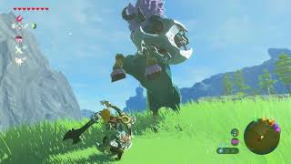 Blue Lynel  Lodrum Headland  Zelda Breath of the Wild [upl. by Namreg]