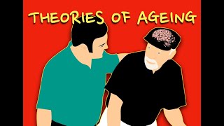 The developmental and psychosocial theories of Ageing [upl. by Viquelia]